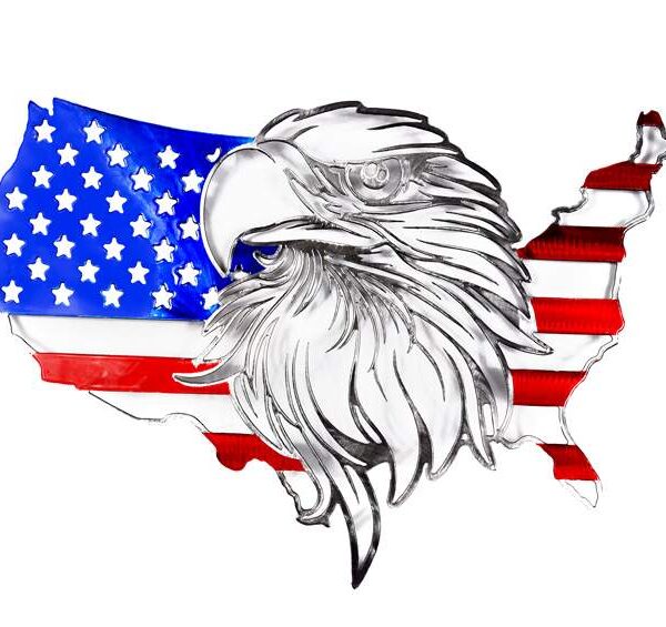USA Flag W/Eagle